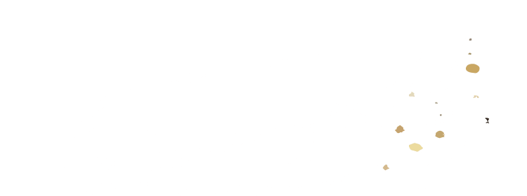 RECOMENDED 当店のおすすめ